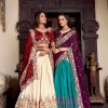 Elegant Tussar Silk Lehenga with Embroidered Vichitra Silk Dupatta & Blouse